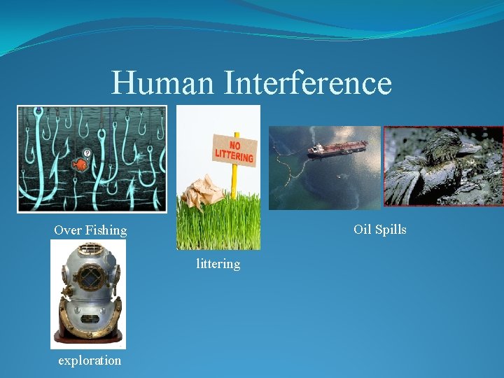 Human Interference Oil Spills Over Fishing littering exploration 