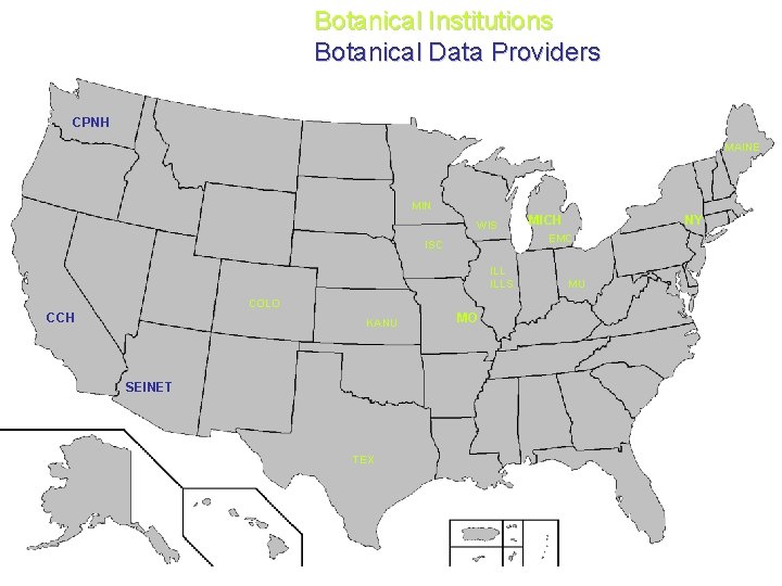 Botanical Institutions Botanical Data Providers CPNH MAINE MIN WIS ILLS COLO KANU SEINET TEX