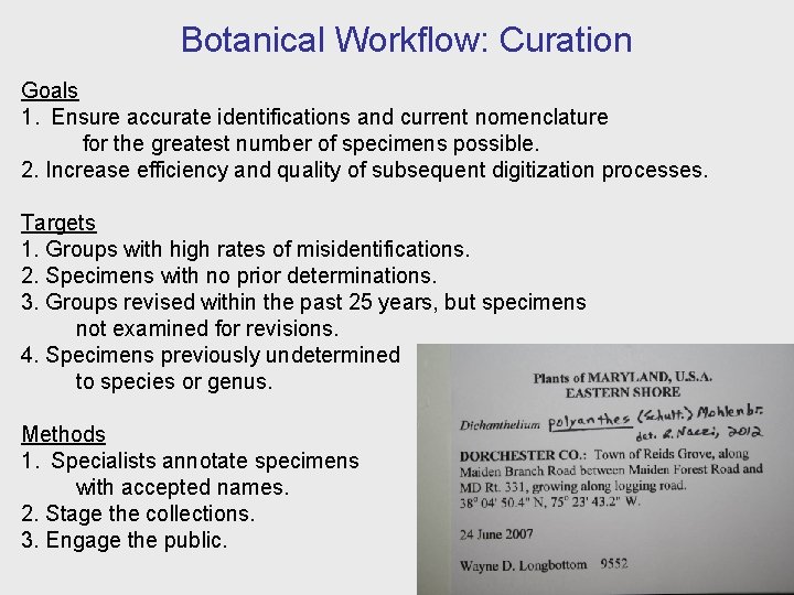 Botanical Workflow: Curation Goals 1. Ensure accurate identifications and current nomenclature for the greatest
