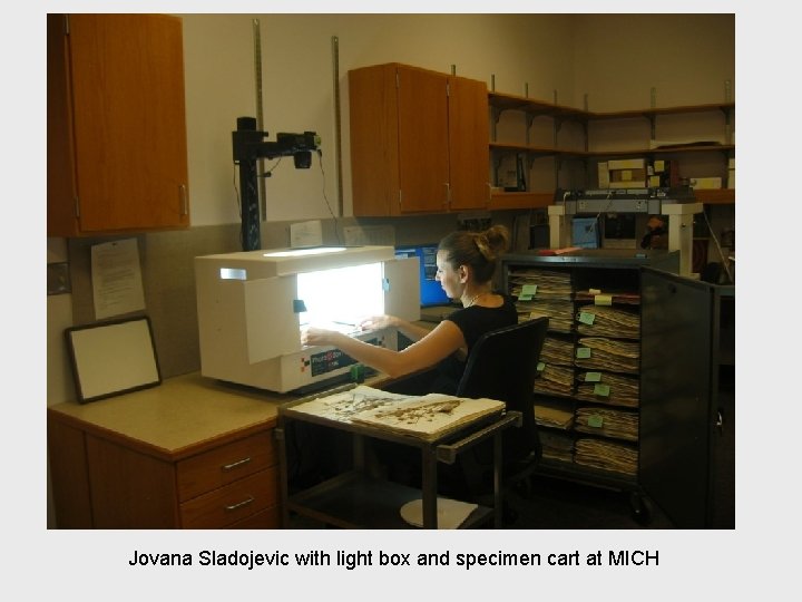 Jovana Sladojevic with light box and specimen cart at MICH 