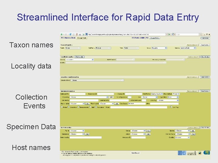 Streamlined Interface for Rapid Data Entry Taxon names Locality data Collection Events Specimen Data