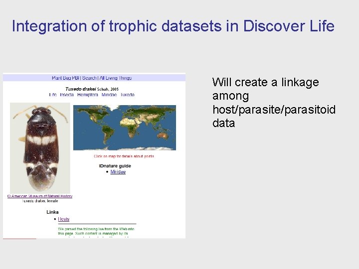 Integration of trophic datasets in Discover Life Will create a linkage among host/parasite/parasitoid data