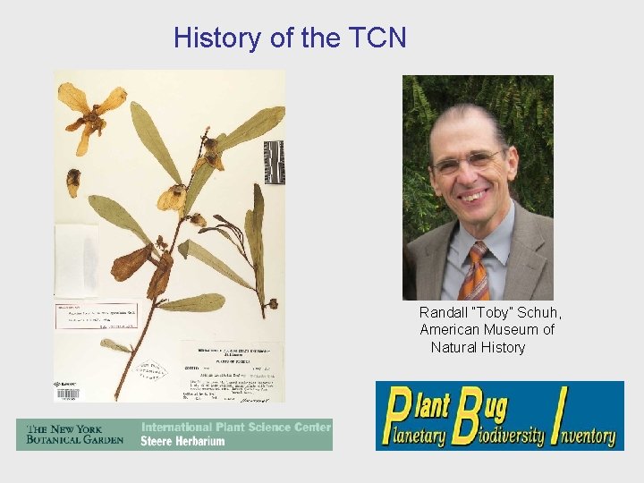 History of the TCN Randall “Toby” Schuh, American Museum of Natural History 