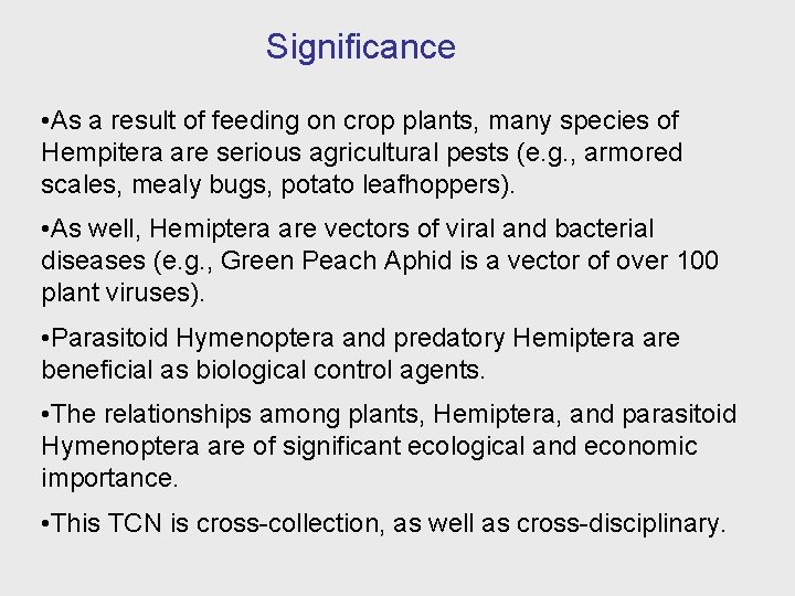 Significance • As a result of feeding on crop plants, many species of Hempitera
