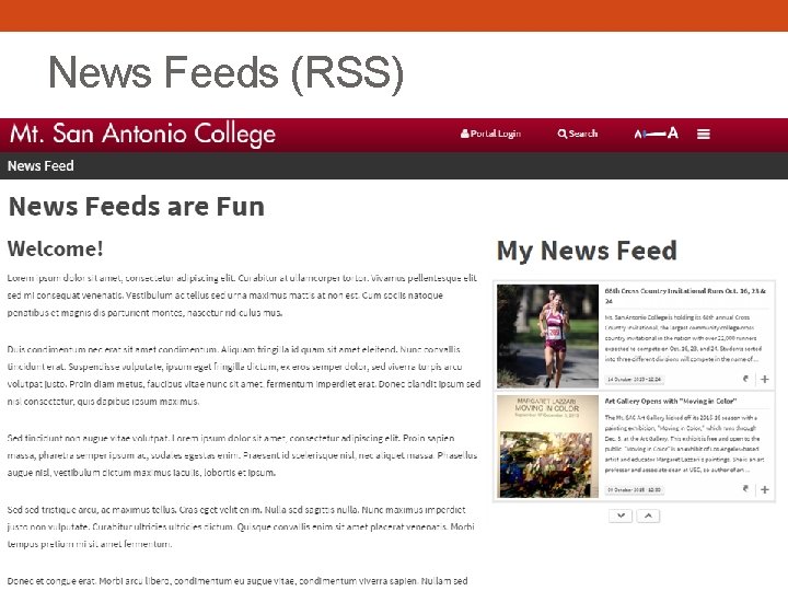 News Feeds (RSS) 