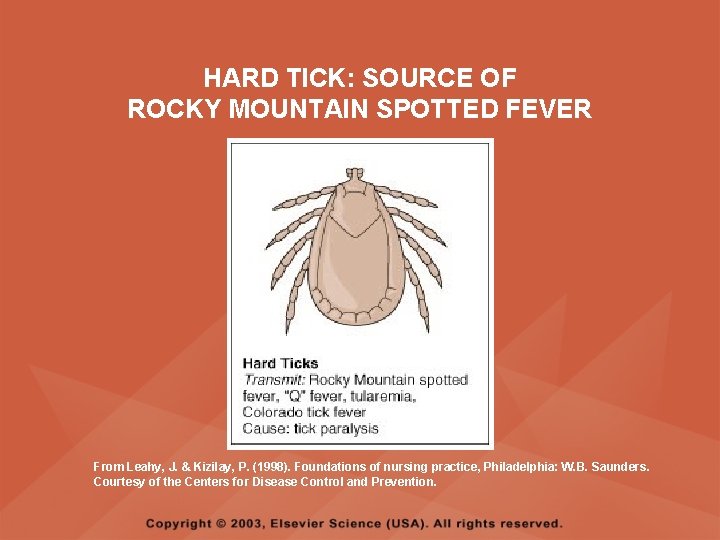 HARD TICK: SOURCE OF ROCKY MOUNTAIN SPOTTED FEVER From Leahy, J. & Kizilay, P.
