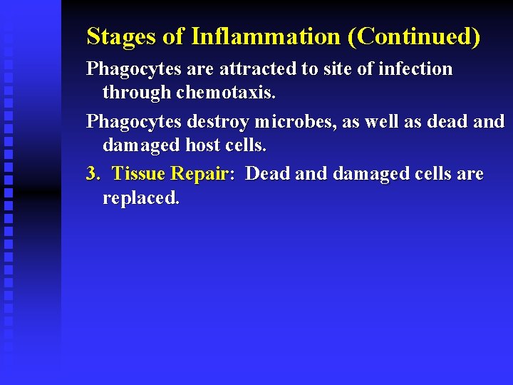 Stages of Inflammation (Continued) Phagocytes are attracted to site of infection through chemotaxis. Phagocytes