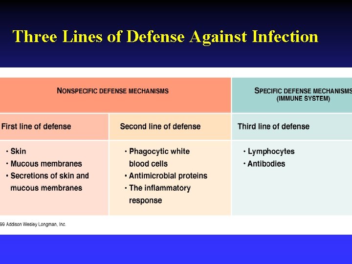 Three Lines of Defense Against Infection 