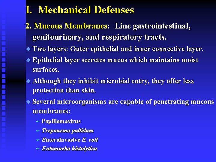 I. Mechanical Defenses 2. Mucous Membranes: Line gastrointestinal, genitourinary, and respiratory tracts. u Two