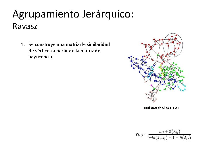 Agrupamiento Jerárquico: Ravasz 1. Se construye una matriz de similaridad de vértices a partir