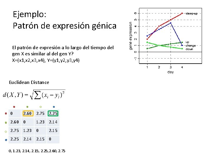 Ejemplo: Patrón de expresión génica El patrón de expresión a lo largo del tiempo