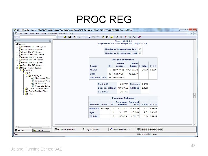 PROC REG Up and Running Series: SAS 43 