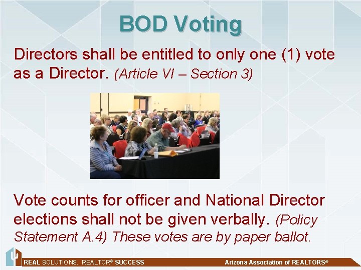 BOD Voting Directors shall be entitled to only one (1) vote as a Director.