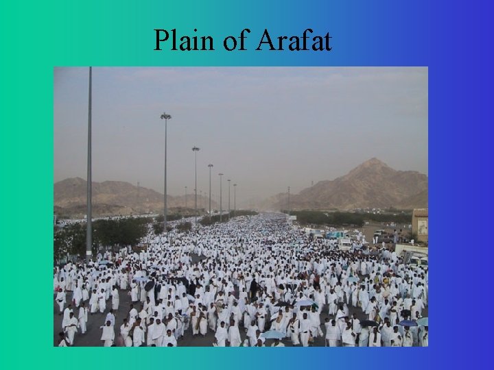 Plain of Arafat 