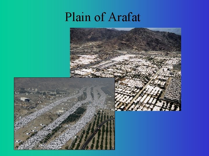 Plain of Arafat 