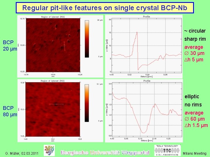 Regular pit-like features on single crystal BCP-Nb ~ circular BCP 20 µm sharp rim