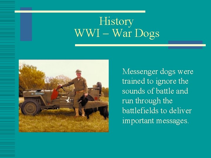 History WWI – War Dogs Messenger dogs were trained to ignore the sounds of