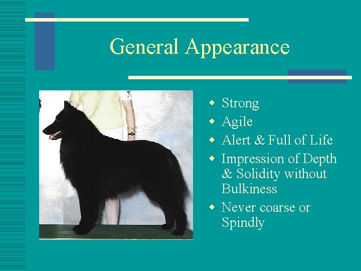 General Appearance w w Strong Agile Alert & Full of Life Impression of Depth