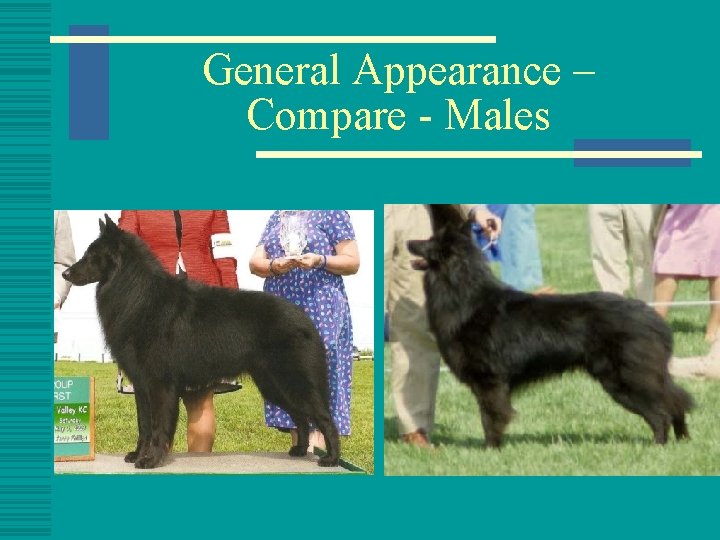 General Appearance – Compare - Males 