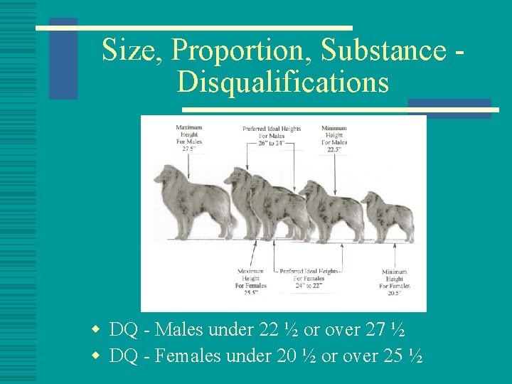 Size, Proportion, Substance Disqualifications w DQ - Males under 22 ½ or over 27