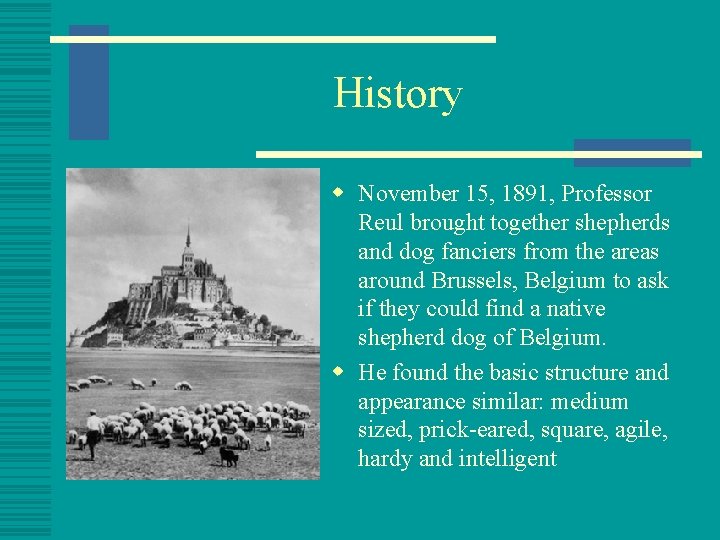 History w November 15, 1891, Professor Reul brought together shepherds and dog fanciers from