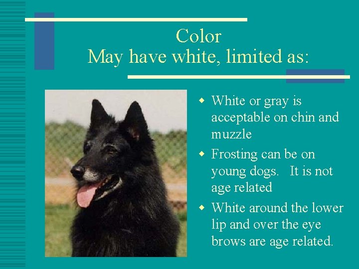 Color May have white, limited as: w White or gray is acceptable on chin