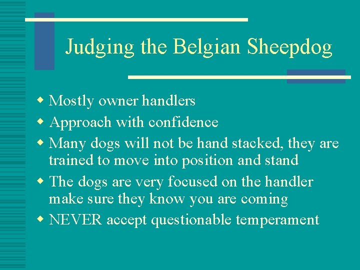 Judging the Belgian Sheepdog w Mostly owner handlers w Approach with confidence w Many