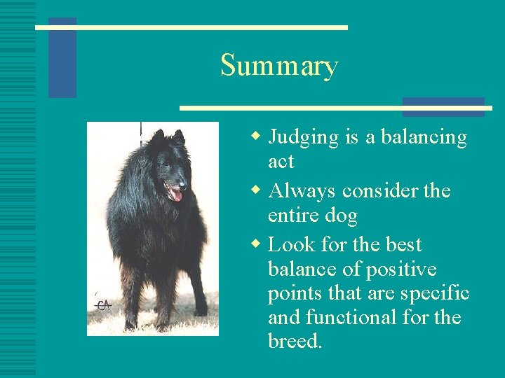 Summary w Judging is a balancing act w Always consider the entire dog w