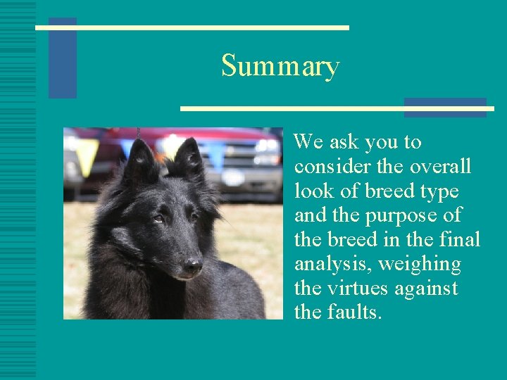 Summary We ask you to consider the overall look of breed type and the