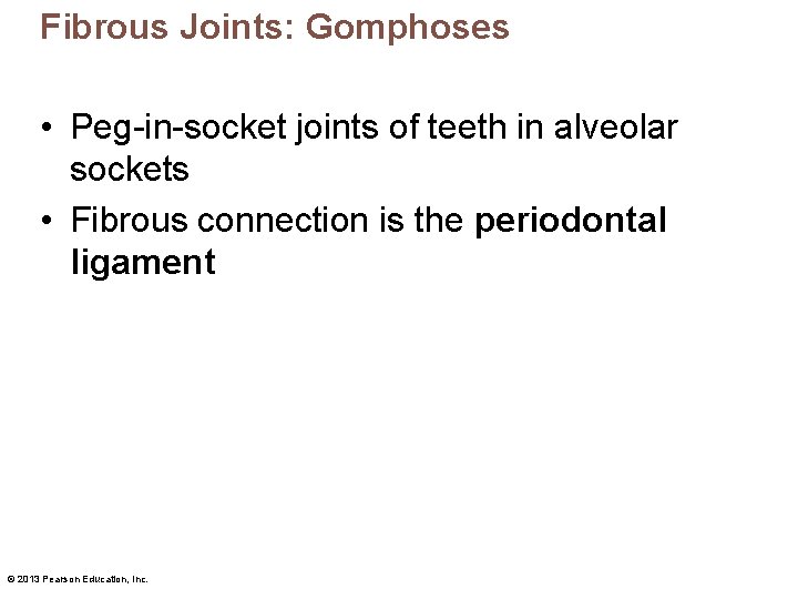 Fibrous Joints: Gomphoses • Peg-in-socket joints of teeth in alveolar sockets • Fibrous connection