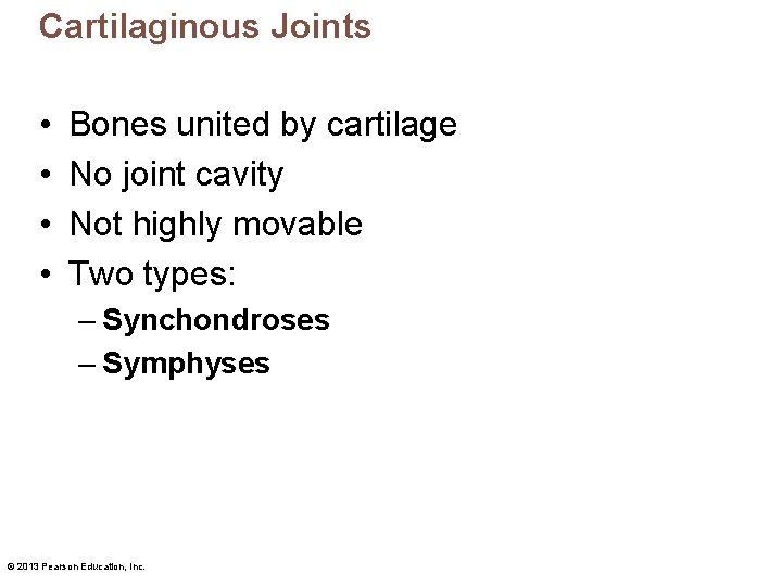 Cartilaginous Joints • • Bones united by cartilage No joint cavity Not highly movable