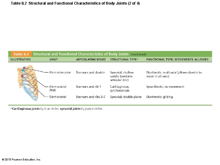 Table 8. 2 Structural and Functional Characteristics of Body Joints (2 of 4) ©