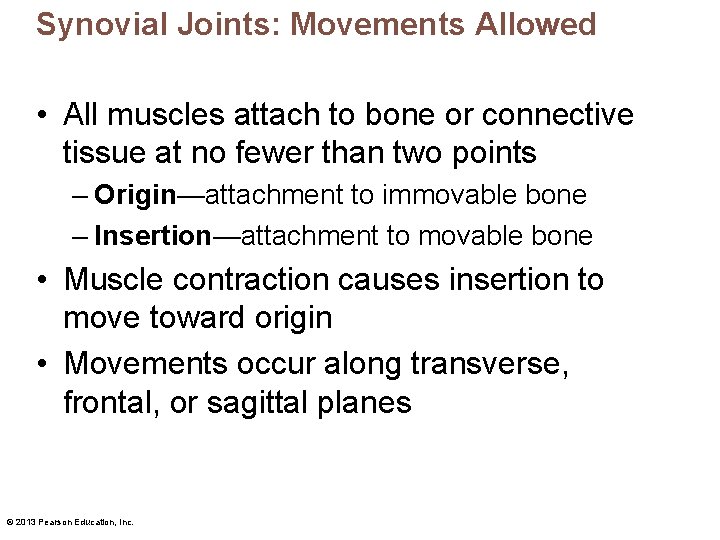 Synovial Joints: Movements Allowed • All muscles attach to bone or connective tissue at