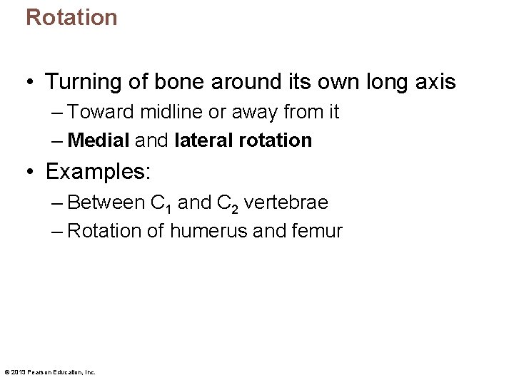 Rotation • Turning of bone around its own long axis – Toward midline or