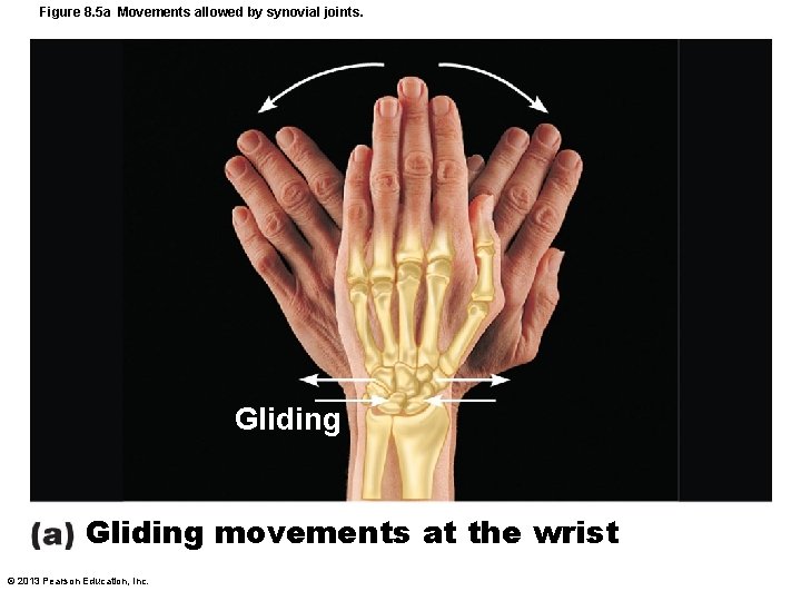 Figure 8. 5 a Movements allowed by synovial joints. Gliding movements at the wrist
