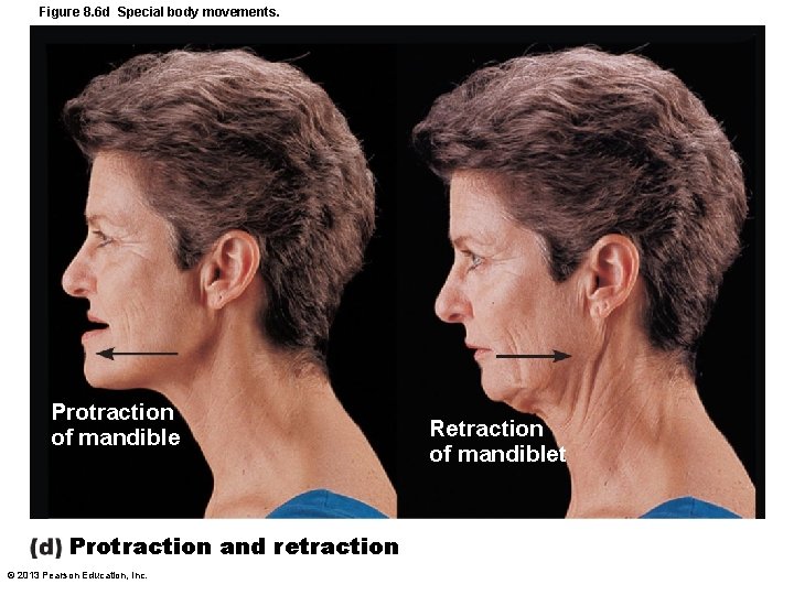 Figure 8. 6 d Special body movements. Protraction of mandible Protraction and retraction ©