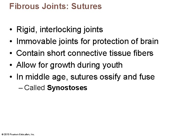 Fibrous Joints: Sutures • • • Rigid, interlocking joints Immovable joints for protection of