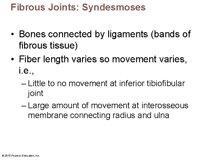 Fibrous Joints: Syndesmoses • Bones connected by ligaments (bands of fibrous tissue) • Fiber