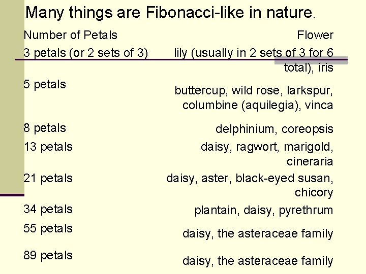 Many things are Fibonacci-like in nature. Number of Petals 3 petals (or 2 sets