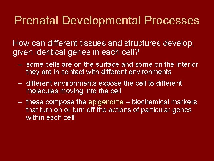 Prenatal Developmental Processes How can different tissues and structures develop, given identical genes in