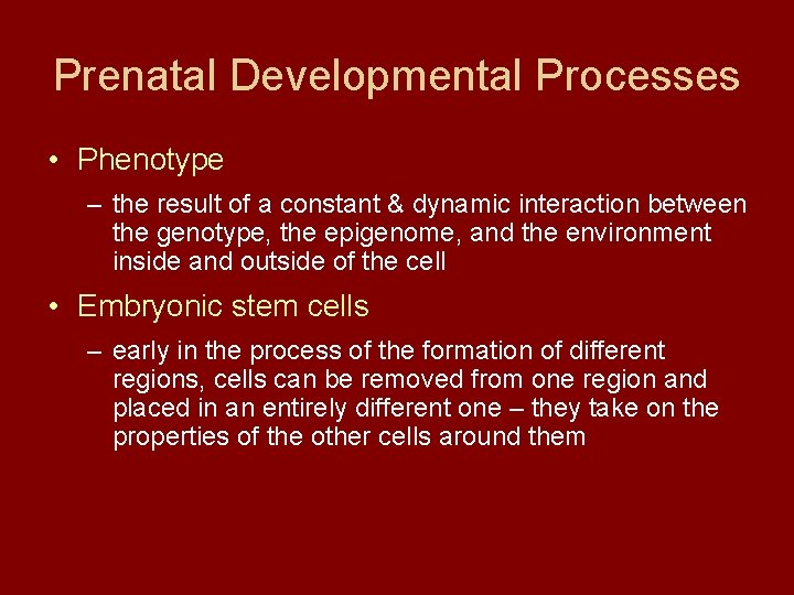 Prenatal Developmental Processes • Phenotype – the result of a constant & dynamic interaction