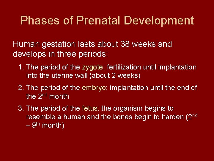 Phases of Prenatal Development Human gestation lasts about 38 weeks and develops in three