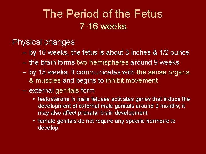 The Period of the Fetus 7 -16 weeks Physical changes – by 16 weeks,