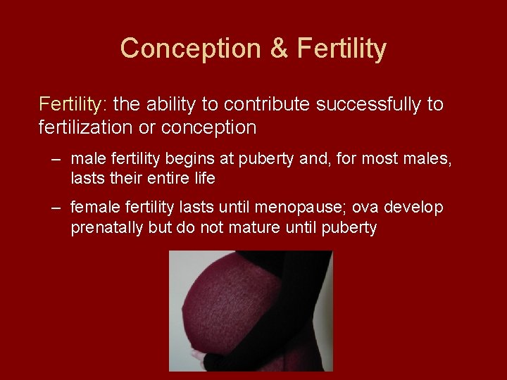 Conception & Fertility: the ability to contribute successfully to fertilization or conception – male