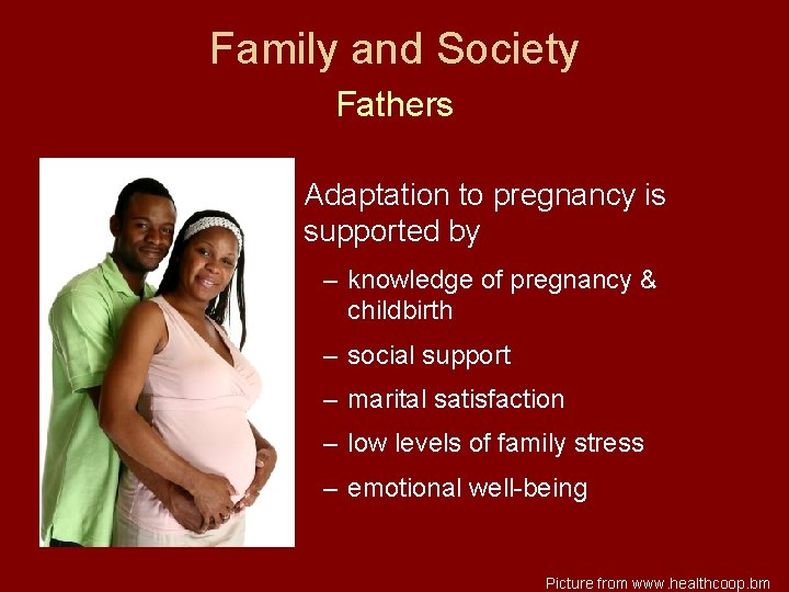 Family and Society Fathers Adaptation to pregnancy is supported by – knowledge of pregnancy