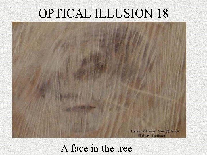 OPTICAL ILLUSION 18 A face in the tree 