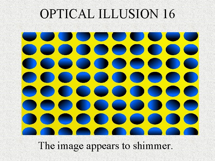 OPTICAL ILLUSION 16 The image appears to shimmer. 