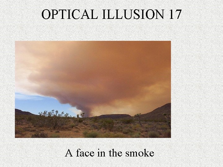 OPTICAL ILLUSION 17 A face in the smoke 