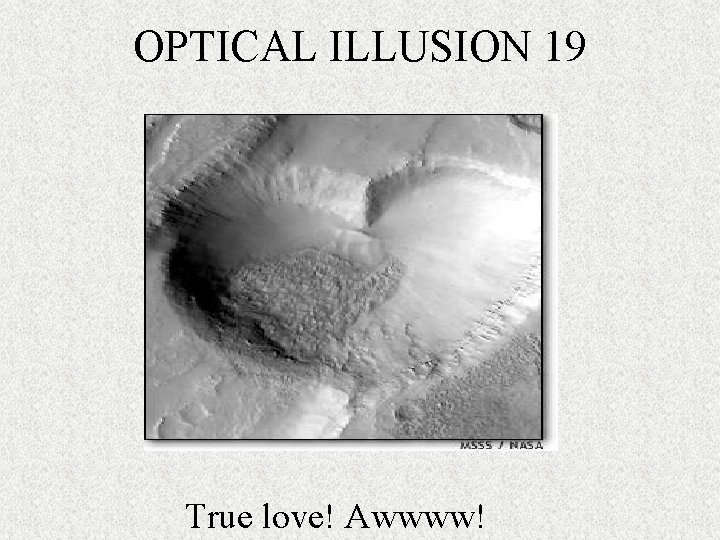 OPTICAL ILLUSION 19 True love! Awwww! 