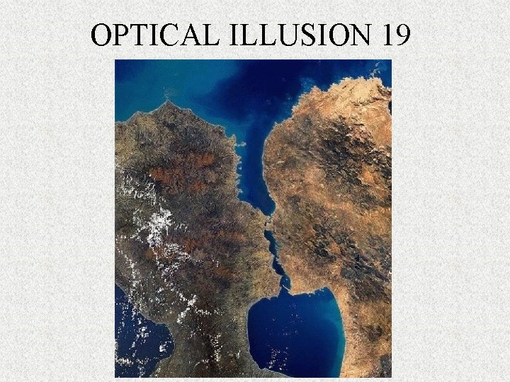 OPTICAL ILLUSION 19 